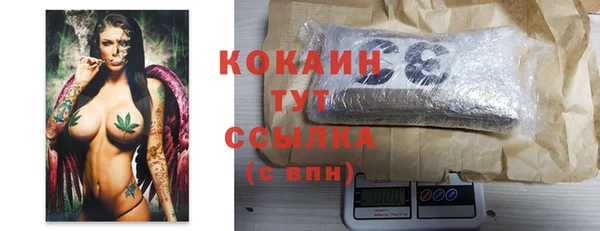хмурый Михайловск