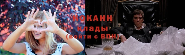 МДПВ Михайлов
