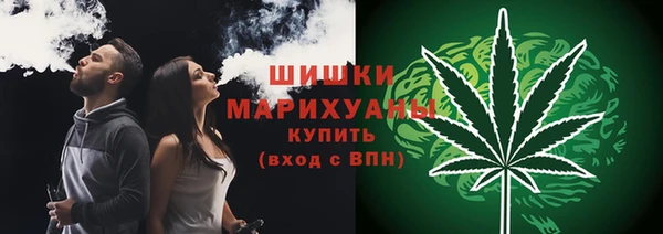 МДПВ Михайлов
