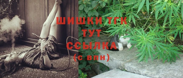 МДПВ Михайлов