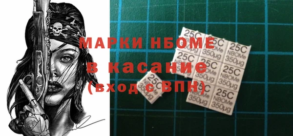 хмурый Михайловск