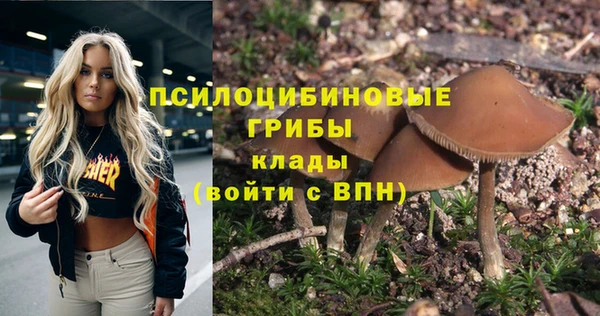хмурый Михайловск